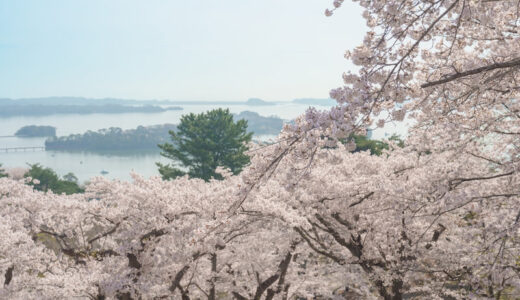 宮城で浮気調査に強い探偵事務所・興信所おすすめ11選！料金や評判も解説